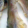 Dried Yellow Croaker