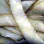 ������� ������� ��������� Dried sliced squid
