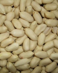 peanut-blanched-long