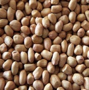 Арахис ядрами из Китая от производителя. Цены на арахис оптом.