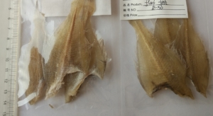 sushenaya ryba czeny na sushenye moreprodukty i rybu optom