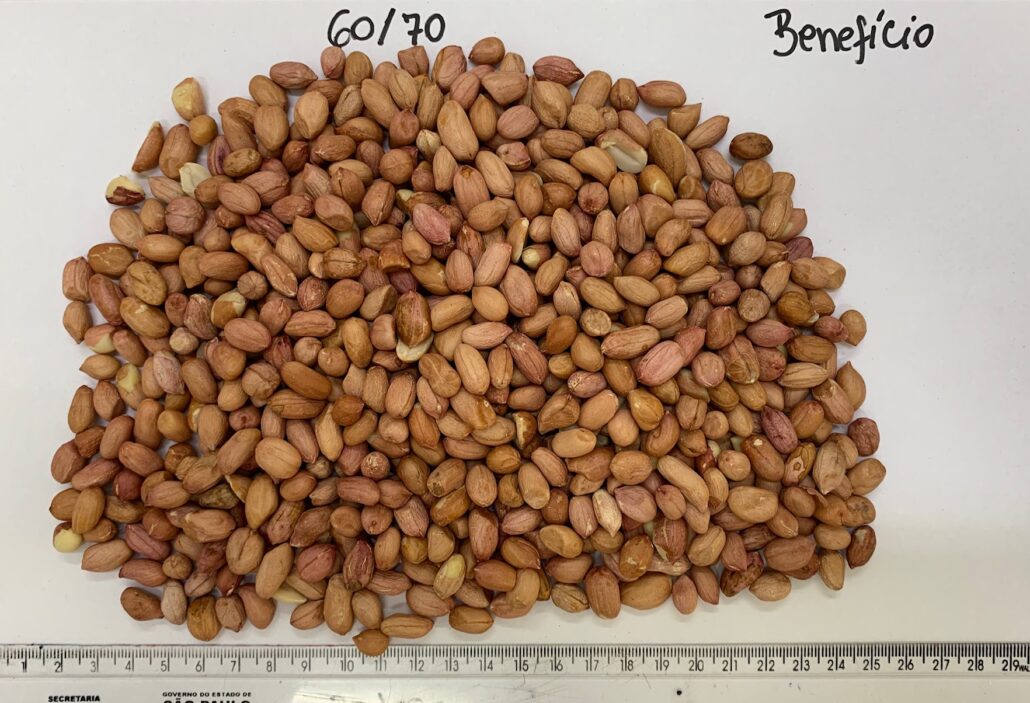 Ядра сырого арахиса оптом из Бразилии Калибр 6070