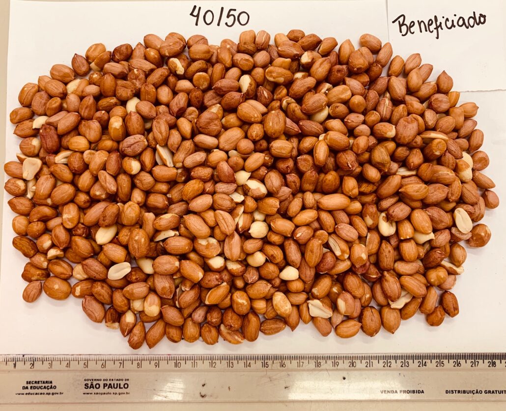 peanut kernels brazil