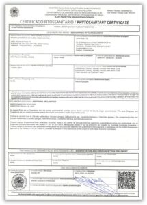 sample phytosanitary certificate