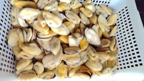Прайс-на-мороженные-морепродукты-в-ассортименте-из-КНР